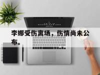 乐鱼真人游戏推荐-李娜受伤离场，伤情尚未公布。