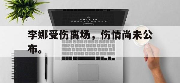 乐鱼真人游戏推荐-李娜受伤离场，伤情尚未公布。