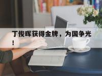 乐鱼体育真人游戏-丁俊晖获得金牌，为国争光！