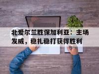 乐鱼真人游戏推荐-北爱尔兰胜保加利亚：主场发威，稳扎稳打获得胜利